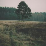Midnight Circuitry June Esbat Mix