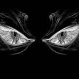 Transition
