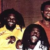 The Itals with Roots Radics - 6/21/84 The Spectrum Montreal, Que. Soundboard Recording