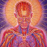 The Autonomic System - Level 1