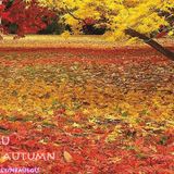 nemiegu - Autumn