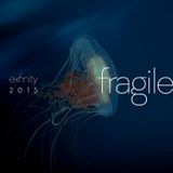 d-phrag - Exfinity 2015: Fragile
