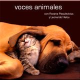 Voces Animales - 16 de febrero 2013