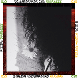 Collaborator 030: cuurlzzz