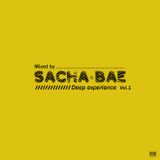 Deep experience vol. 1 - Mixed by Sacha bae