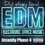EDM Insanity Phase 4 NYE 2014