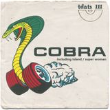 TDATS 111: Cobra profile and interview with Rob Vunderink