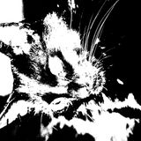 DhARK_2014_bigBlackDog_2014-03-02_9h11m46_02h05m46.mp3