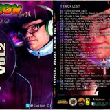 Dj Guzion Present Tropical Deluxe Remix Vol.2 (Master & Pruductions Swimgomatic Records & Surgical)