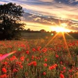 Ambient techno mix