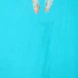 Music For The First Dives