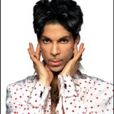 Purple Reign 1 : The Music of Prince