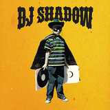 DJ SHADOW -2002-08-02 FESTIVAL INTERNACIONAL DE BENICASSIM, SPAIN