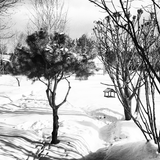 It was cold winter 2013