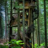 Camila Diaz - The Tree`s House (2009)
