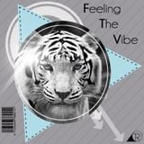 Tigo Rangel - Feeling The Vibe