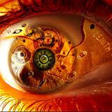 RETINEX theory