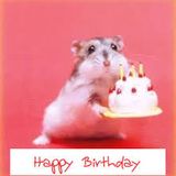 Happy Birthday Shoki ;)
