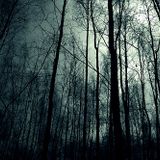 DOCTA ROOTS - MENTHOL SERIES #6
