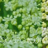 mesterbandi - bodza#001