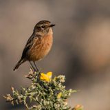 ELOYLC@NATUR