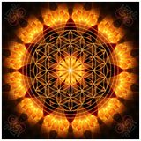 Spiritform