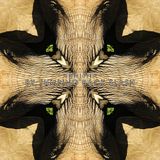 JUMPING BACK SLASH: Ibhithi Mini Mix