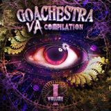 Psychotherapy vs Midi junkies - gece gündüz ( COMING SOON ON GOACHESTRA RECORDS COMPILATION VOL.1 )