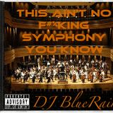 DJ BlueRain - This Ain't No F---ing Symphony