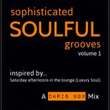 Sophisticated Soulful Grooves Volume 1 (January 2015)