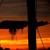 SUNSET D.F. 129 MIXED BY MODULADOR CENTRAL