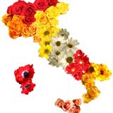 Flower power