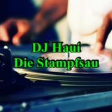 ♫ DJ Haui Die Stampfsau ♫ ( Live Mix )