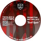 The Black & White Pimps - The Electro and House Mixtape 2012
