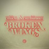 BROKEN WINGS (with Dj Grazzhoppa)
