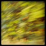 OEP 12/17/12 : Blurring : The OO-Ray guest mix