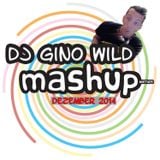 Mash Up Mixtape - Dezember 2014