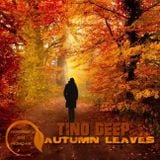 Tino Deep - Autumn Leaves (November 2015 Promo Mix)