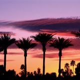 Palm Springs House Mix 2