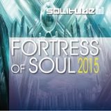 The Best of Fortress of Soul 2015