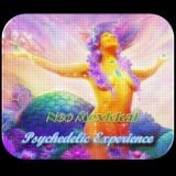Psychedelic Experience (Live DJ Set)