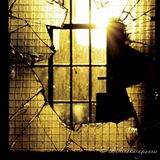 Glass Of Broken Dreams