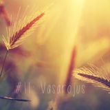 #11: Vasarojus