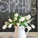 Catalin B. Short Mix Spring