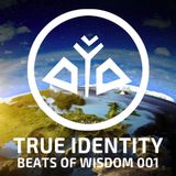 True Identity - Beats of Wisdom 001 (432hz dance music)