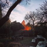 december 2013 mix