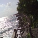Ms Moneypenny's beach bake
