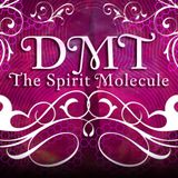 Vasudeva_Divine Moment of Truth