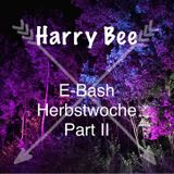 Harry Bee live at E-Bash - 24.10.15