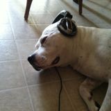 Dj Jinko Live 96.3 FM 10-22-11 House Mix